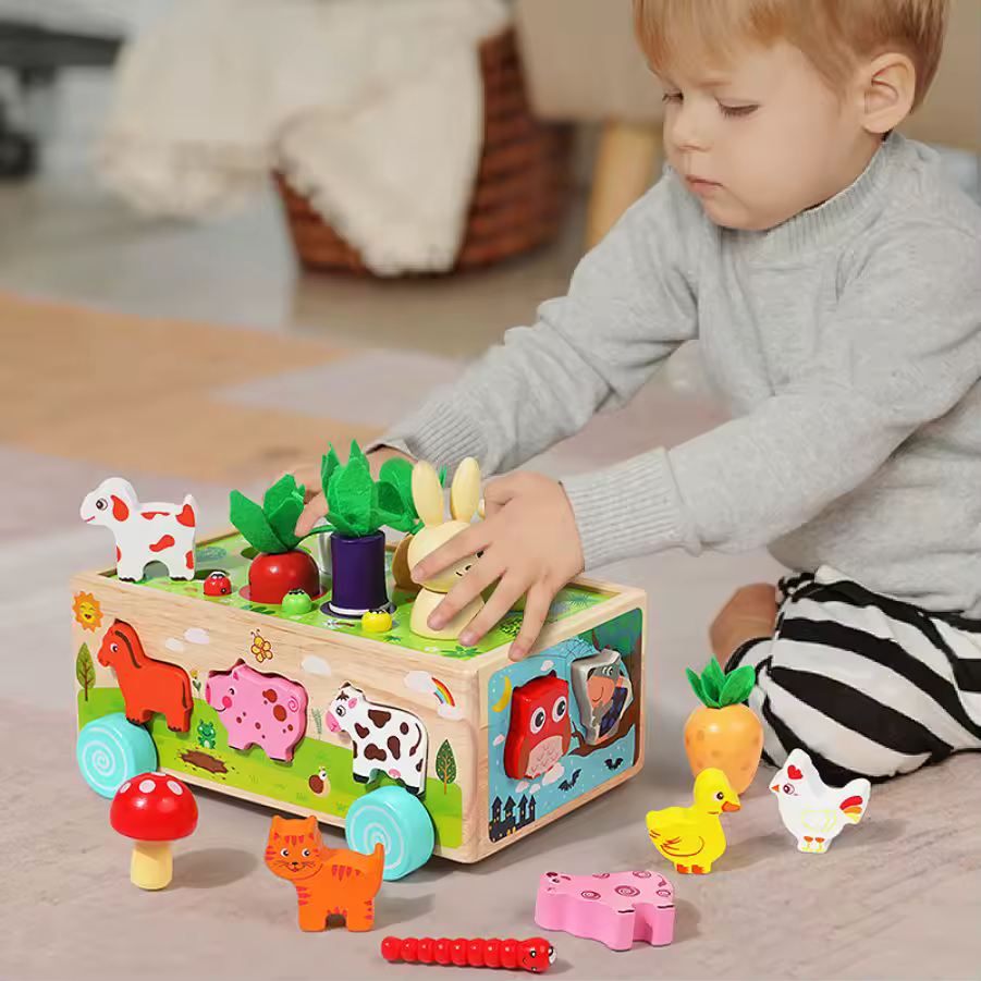 Wooden Shape Matching Animals Blocks